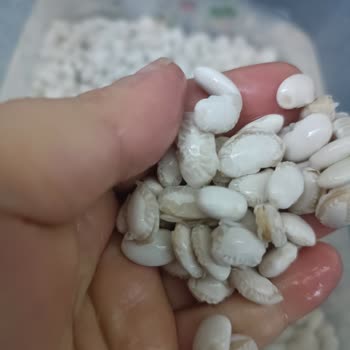 Migros'tan Aldığım Kuru Fasulyenin Hayal Kırıklığı