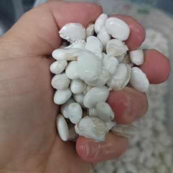 Migros'tan Aldığım Kuru Fasulyenin Hayal Kırıklığı