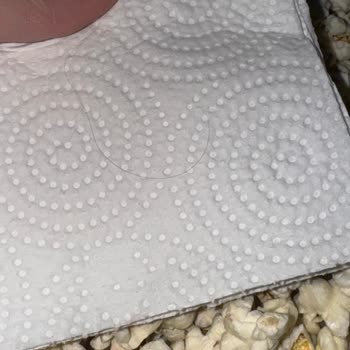 Peyman Popcorn Paketinden Çıkan İstenmeyen Sürpriz