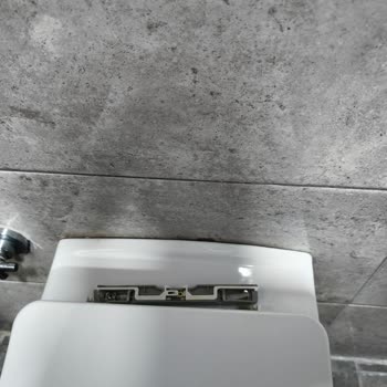 Turkuaz Duru Klozet Kapağı Menteşe Sorunu