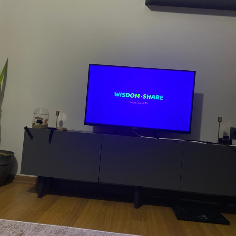 Yeni Alınan Dijitsu TV'nin Açılmama Sorunu Ve Acil Destek İhtiyacı