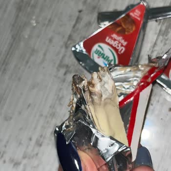 Üçgen Peynirde Küf ve Koku Şikayeti