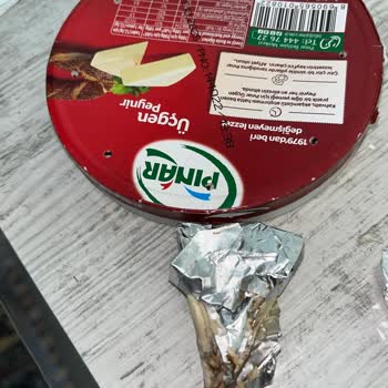 Üçgen Peynirde Küf ve Koku Şikayeti