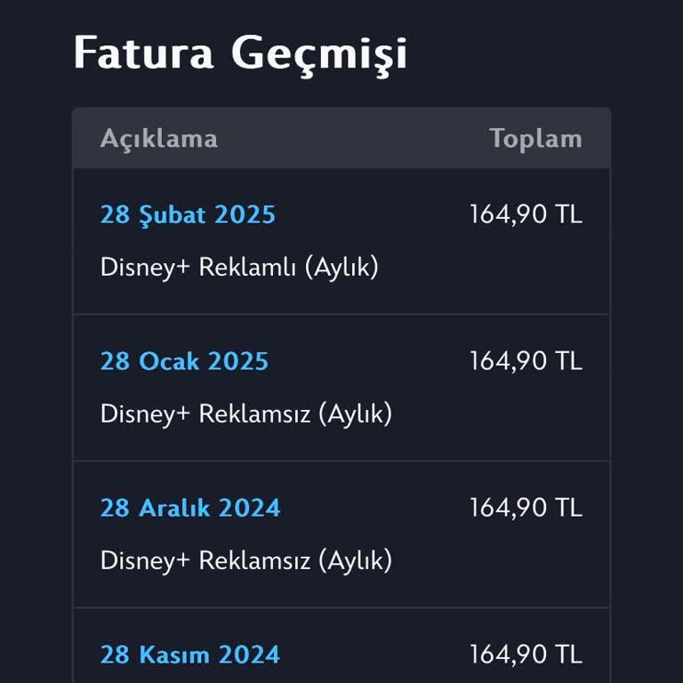 Disney Plus Üyelik Değişikliği Sorunu
