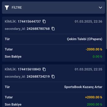 Cashwin Kazanç Sonrası Hesap Engeli Ve Destek Sorunu