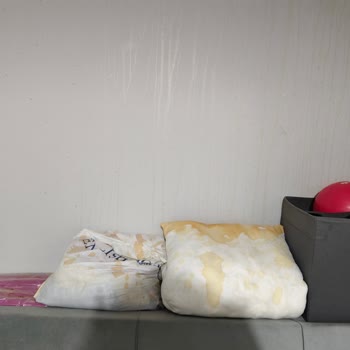 Caldini Kimya Yangın Söndürücü Sprey Patlaması: Evde Felaket!
