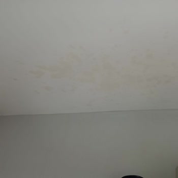 Caldini Kimya Yangın Söndürücü Sprey Patlaması: Evde Felaket!