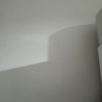 Caldini Kimya Yangın Söndürücü Sprey Patlaması: Evde Felaket!