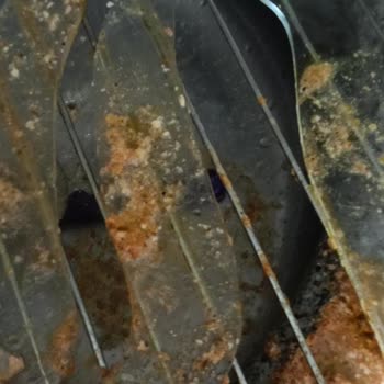 Borcam Fırında Çatladı, İftar Yemeğimiz Mahvoldu