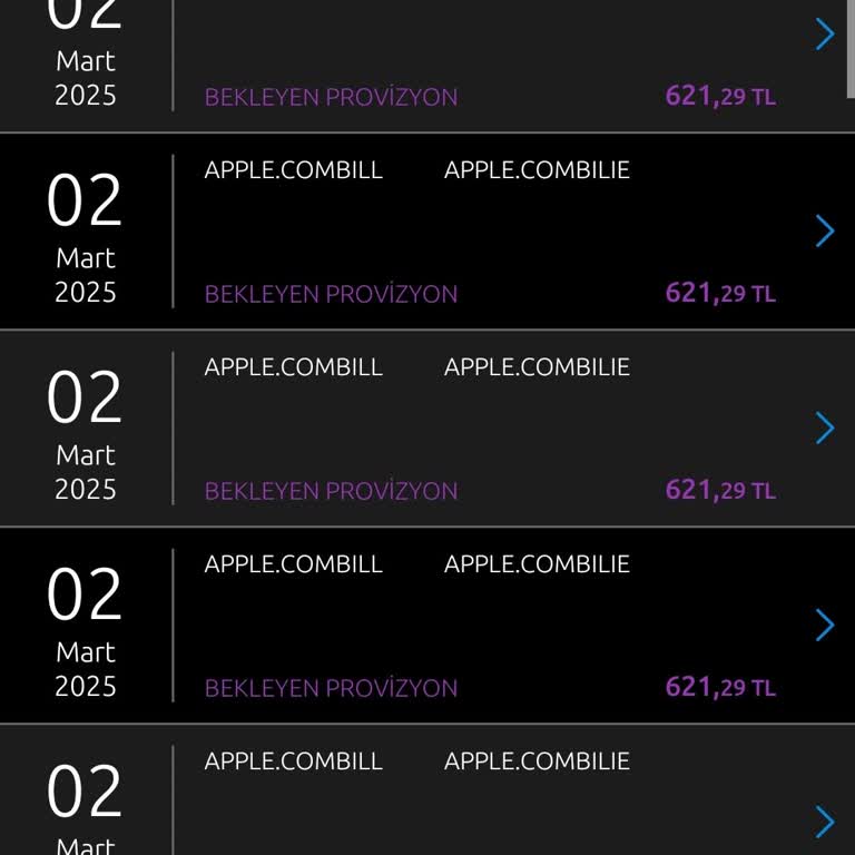 Apple.com/bill'den Bilgim Dışında Yapılan Çekimler