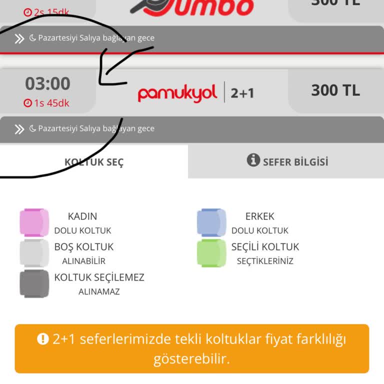 Pamukkale Turizm İle Zamanında Varış Hayal Kırıklığı