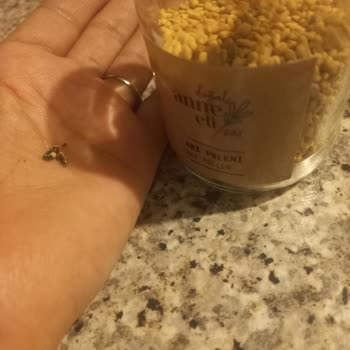 Doğal Ürünlerde Şok Edici Böcek Kalıntıları