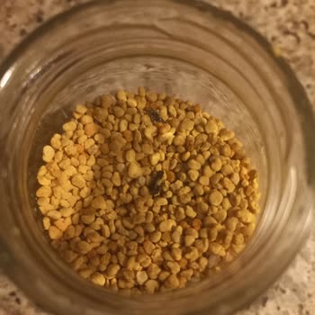 Doğal Ürünlerde Şok Edici Böcek Kalıntıları