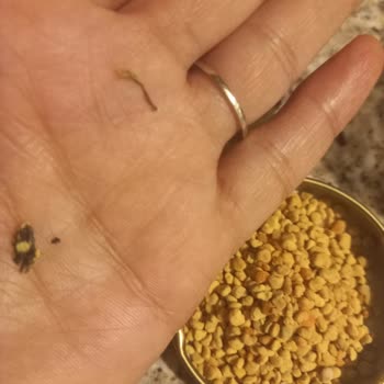 Doğal Ürünlerde Şok Edici Böcek Kalıntıları