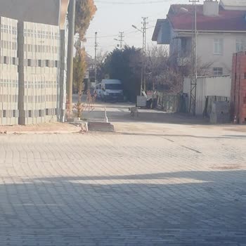 Erenköy'de Köpek Saldırısı: Güvenliğimiz Tehlikede