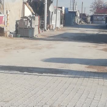 Erenköy'de Köpek Saldırısı: Güvenliğimiz Tehlikede
