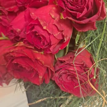 Çiçek Sepeti'nden Solmuş Çiçek ve Yetersiz Çözüm