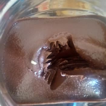 Bozuk Sarelle Ürünü: İlk Defa Hayal Kırıklığı