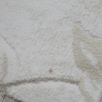 Geç Teslimat Ve Yetersiz Temizlik Hizmeti