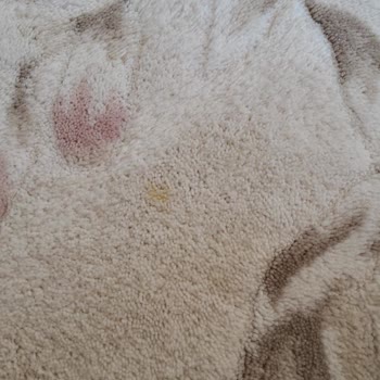 Geç Teslimat Ve Yetersiz Temizlik Hizmeti