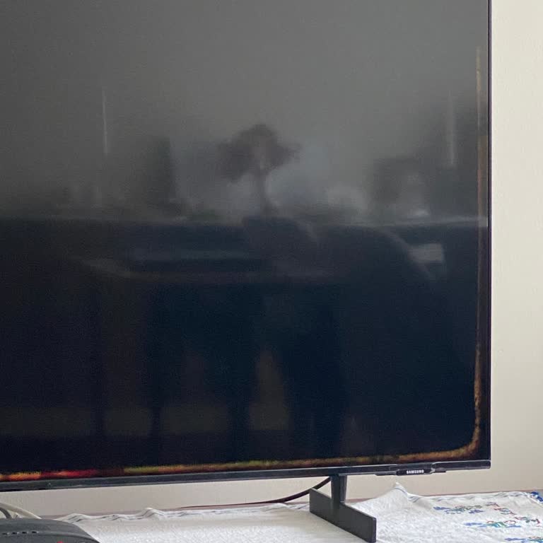 Samsung TV'de Garanti Sonrası Yüksek Ücretli Panel Arızası