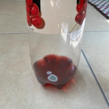 Cappy Vişne Suyunda Küflenme Sorunu