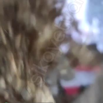 Nilay Öz Bursa Saç Kaynak Merkezi'nden Alınan Saçların Hali!