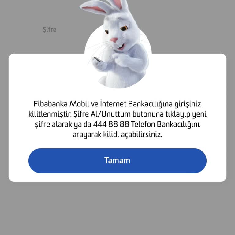 Telefon Ve Sim Kart Değişikliği Sonrası Giriş Sorunu Ve Müşteri Hizmetlerine Ulaşamama