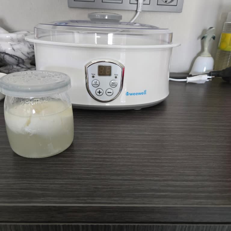 Weewell 400 Yoğurt Makinesi İle Yoğurt Yapma Sorunları
