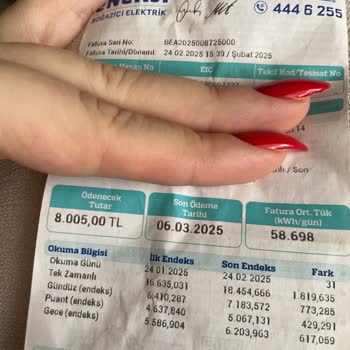 Şaşırtıcı Elektrik Faturası: Anlaşılmaz Tutar Ve Vergi İtirazı