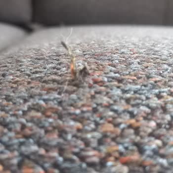 Koltuk Takımı Hayal Kırıklığı: Sallanan İskelet Ve Kusurlu Kumaş