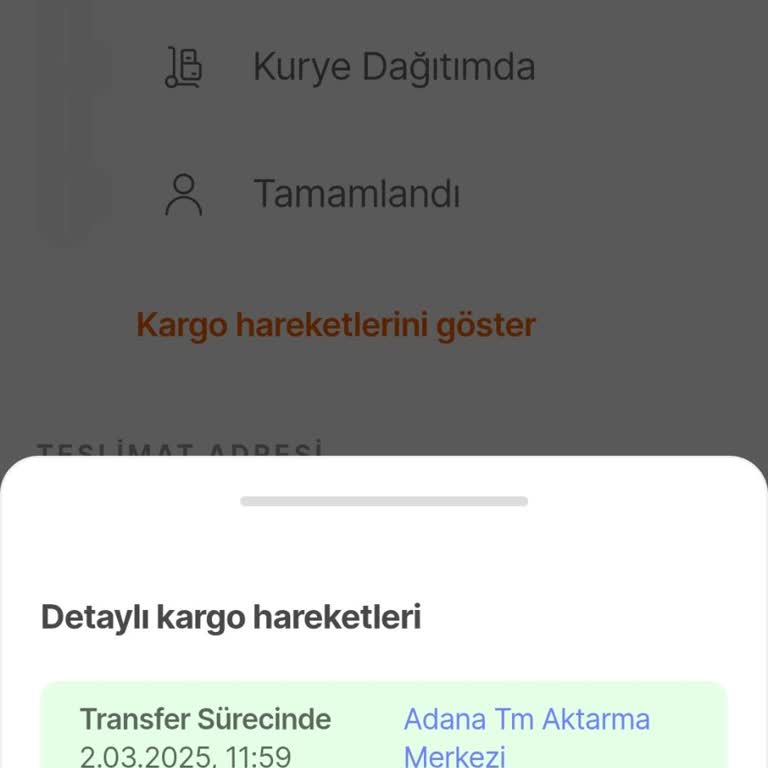 Kargonun Yanlış Yönlendirilmesi