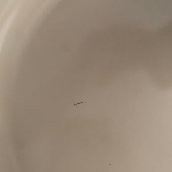 Hepsiburada'dan Aldığım Ürün Hayal Kırıklığına Uğrattı