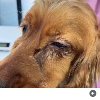 Yanlış Teşhis Ve Fahiş Ücret Talebi