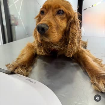 Yanlış Teşhis Ve Fahiş Ücret Talebi