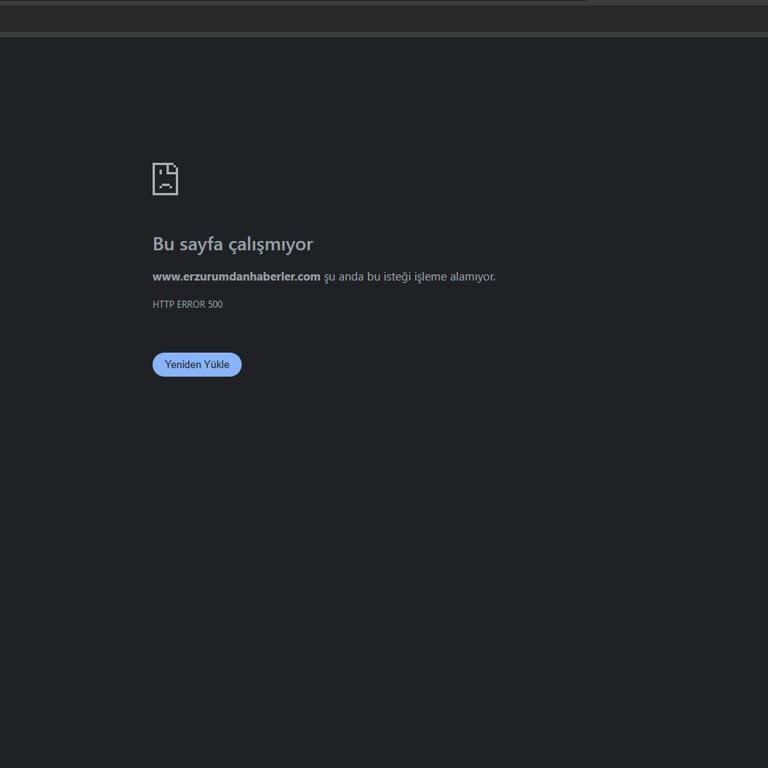 Hosting Paketi Süresi Uzatıldıktan Sonra Site Kaybı Ve Destek Eksikliği