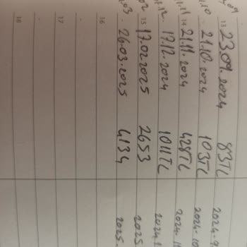 Fahiş Doğalgaz Faturaları: İki Kişilik Eve Yüksek Tutarlar