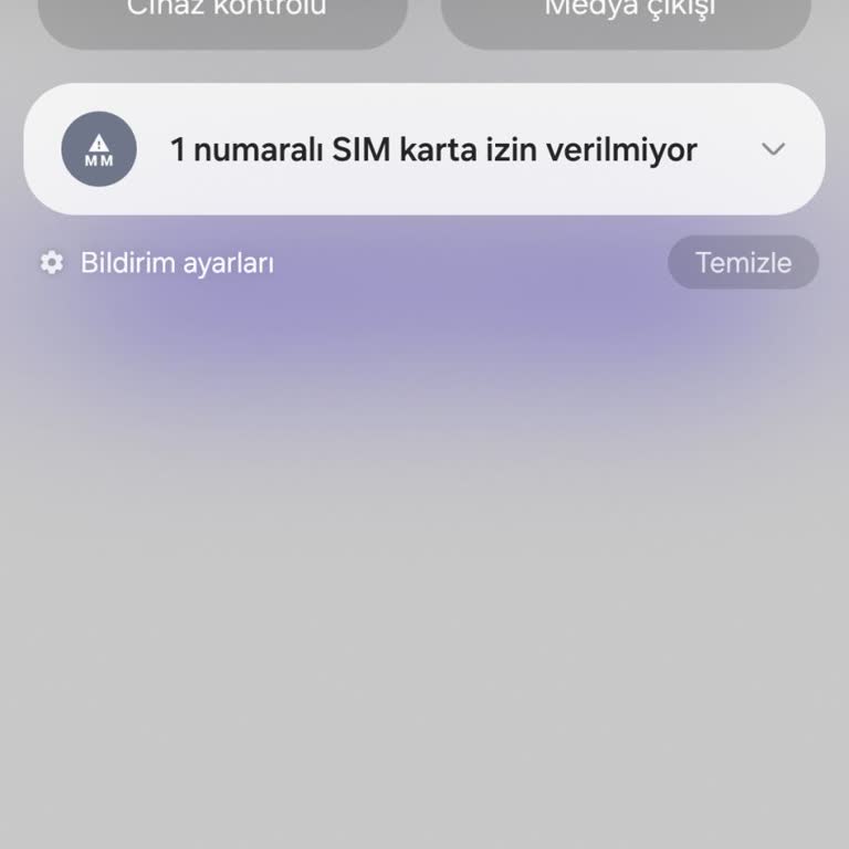 Samsung Galaxy S21'de Sim Kart Uyarısı Ve Servis Kesintisi