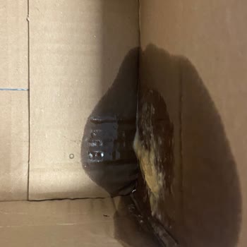 Wefood Kırık Ürün Ve Yanıtsız Müşteri Hizmeti