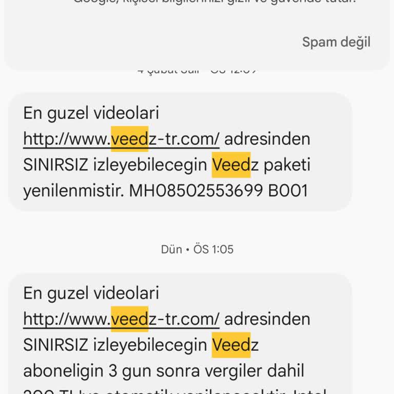 Üye Olmadığım Veedz'den Her Ay Para Çekiliyor