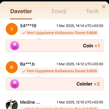 Temu Ücretsiz Hediye Vaadiyle Yanıltıcı Link Paylaşımı