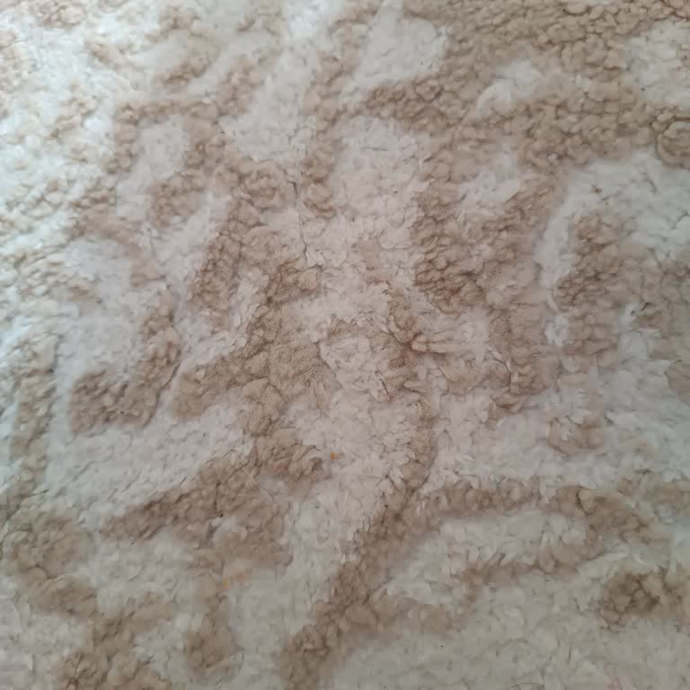 Kumtel Servisi: Sürekli Ertelenen Randevular