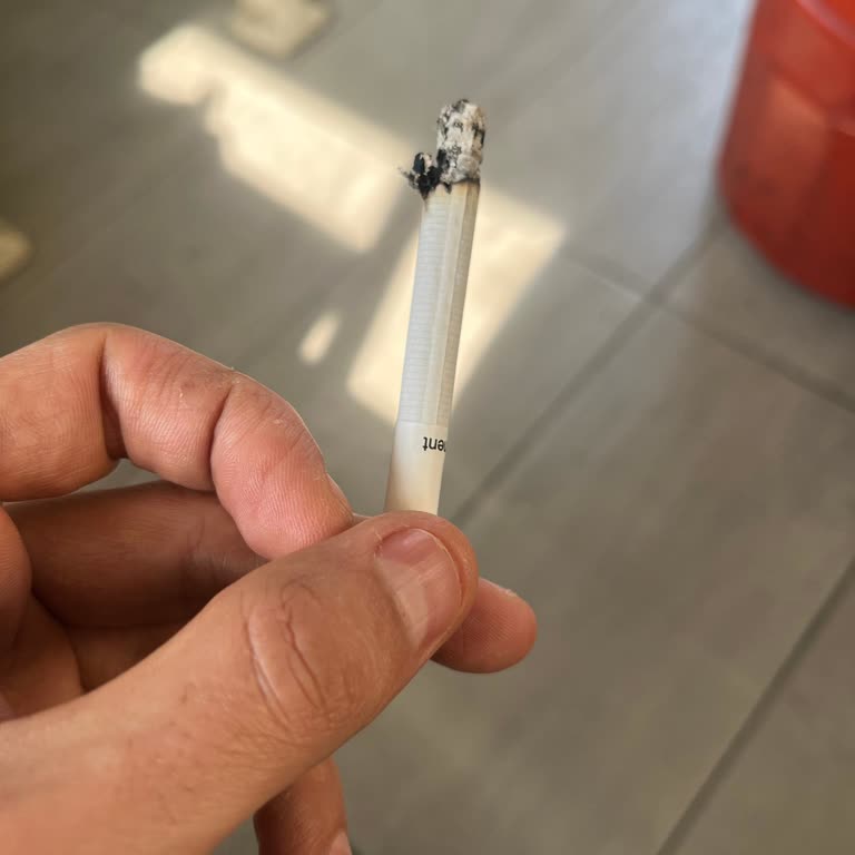 Parliament Night Blue: Sürekli Kötüleşen Kalite