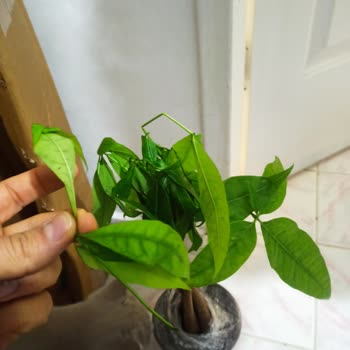 Trendyol'da Hayal Kırıklığı: Yanıltıcı Ürün Ve İlgisiz Satıcı