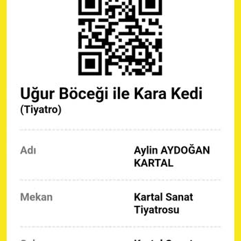 Ücretli Biletlerle Yaşanan Koltuk Karmaşası