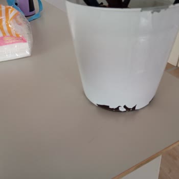 Orkide Siparişinde Hayal Kırıklığı