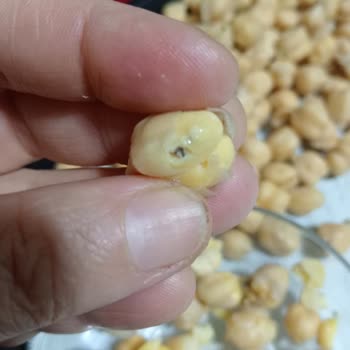 Bozuk Ürün Ve Sağlık Endişesi