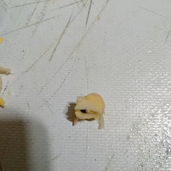 Bozuk Ürün Ve Sağlık Endişesi