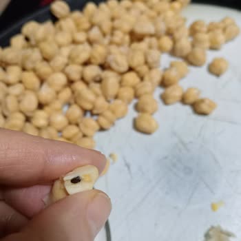 Bozuk Ürün Ve Sağlık Endişesi