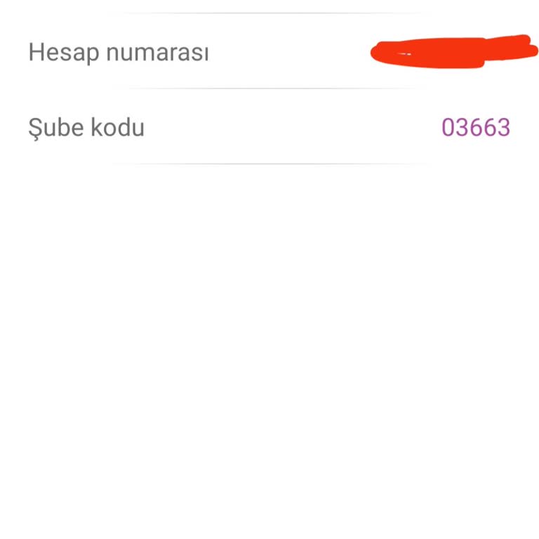 Enpara Hesabına Bloke Şoku: Mağduriyetimi Giderin